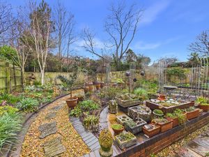 Garden- click for photo gallery